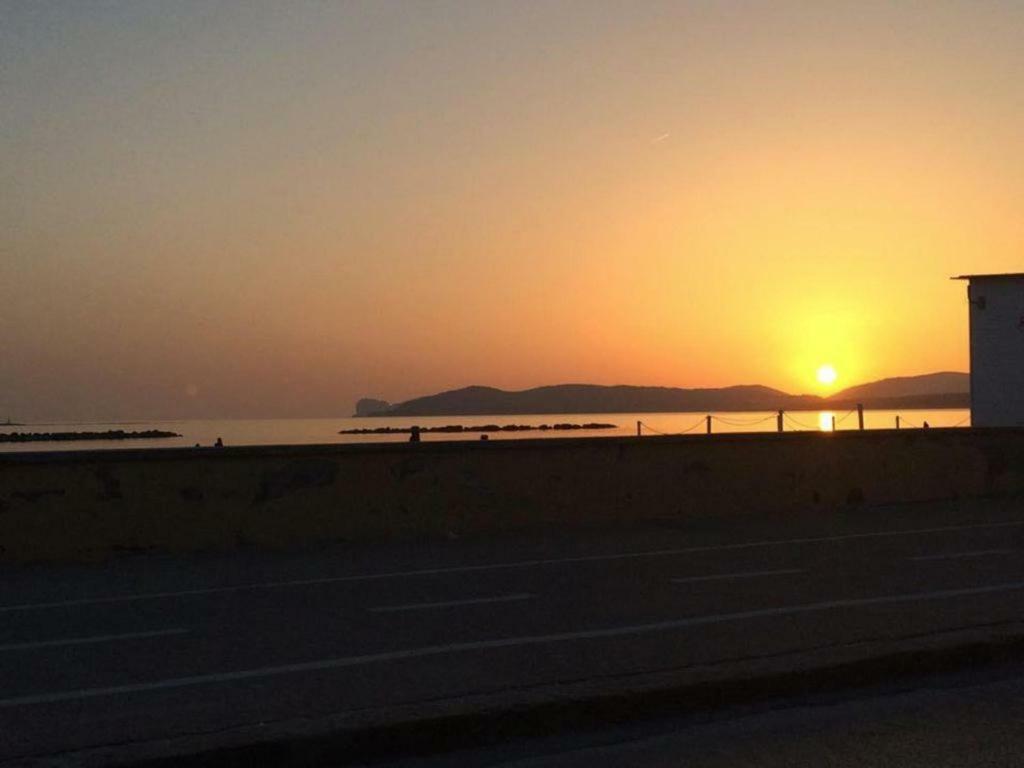 Smeralda ألغيرو المظهر الخارجي الصورة
